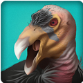 ͺӥ���� Condor Countryv1.6