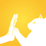 蜜糖直播app——养猫助手v1.0.1最新版