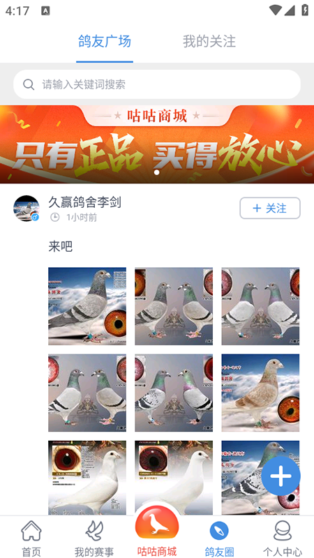 咕咕信鸽app官方下载2026最新版 咕咕信鸽app官方下载2026最新版