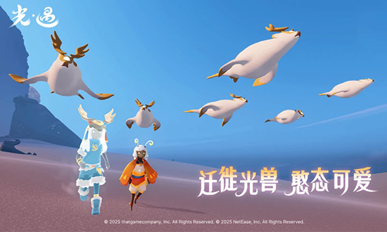 光遇官服下载网易官网最新版2026 光遇官服下载网易官网最新版2026