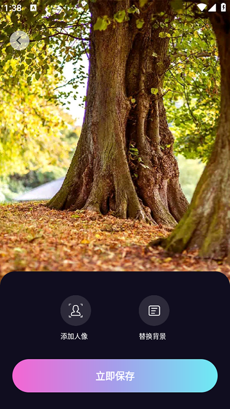 ������Чapp�������2026���°�