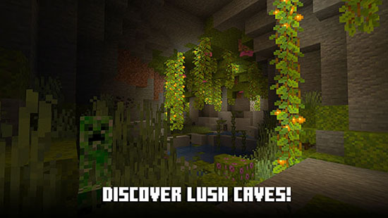 �ҵ�������ʰ�Minecraft���عٷ��������