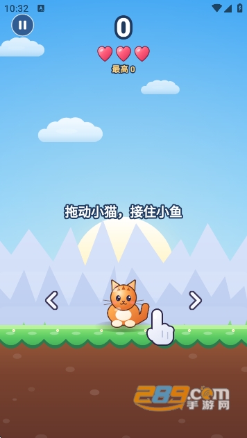 小猫接鱼 小猫接鱼