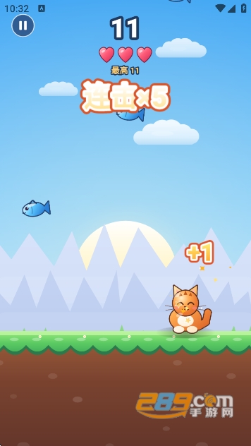 小猫接鱼 小猫接鱼