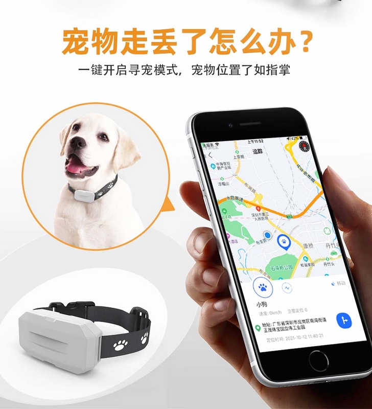 尾巴信标宠物定位器使用教程