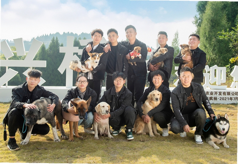 老疯杨安装教程