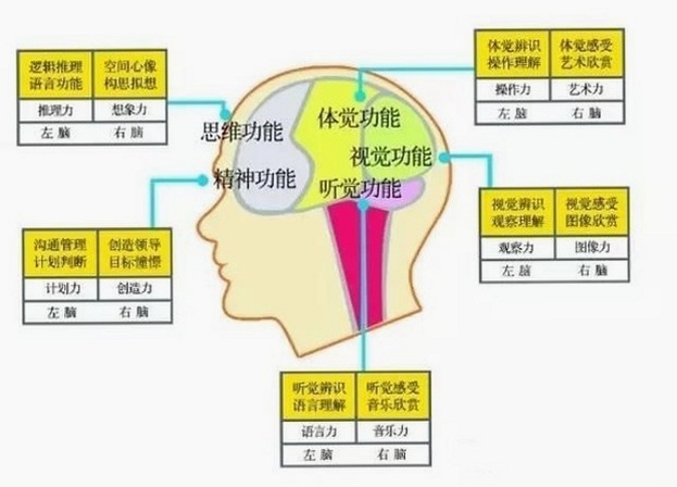 记忆力训练方法图解