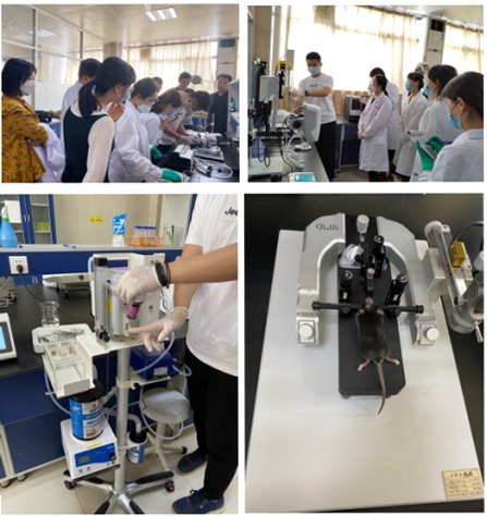 LAB仪器 使用教程