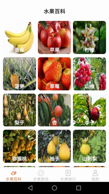 优小贝果园 安装教程