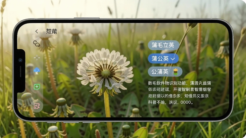 ��ë��������ʶ���ܽ��棬�ֻ���Ļ��ʾһ��Ұ����ʶ��Ϊ���ѹ�Ӣ�����Ա��з����ǩ�Ϳ������֣�������ģ���Ĳݵغ����⣬����������Ȼ��ͻ������ʶ����֪ʶ����