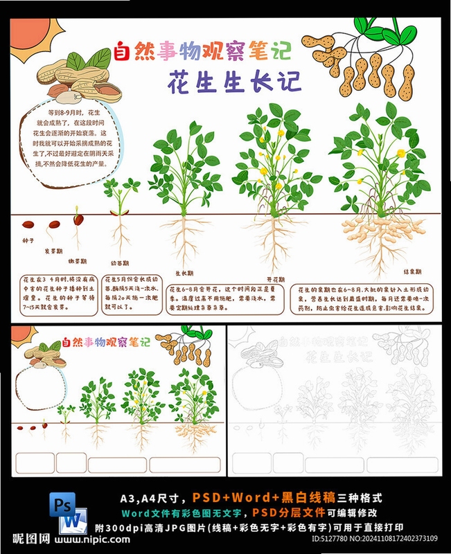 种花日记生长记录长图导出效果