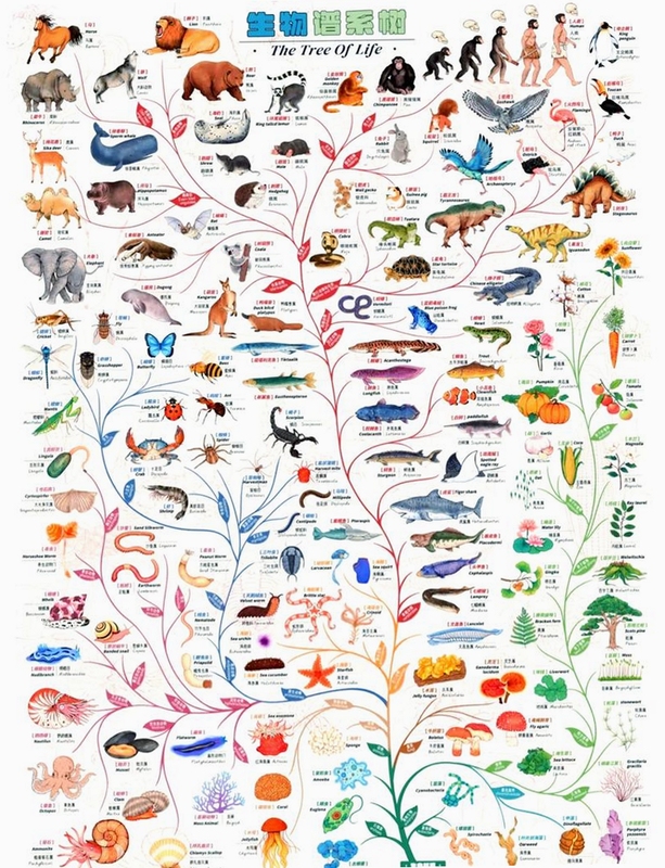 物种起源无广告破解版游戏界面展示,包含生物进化树和纯净UI