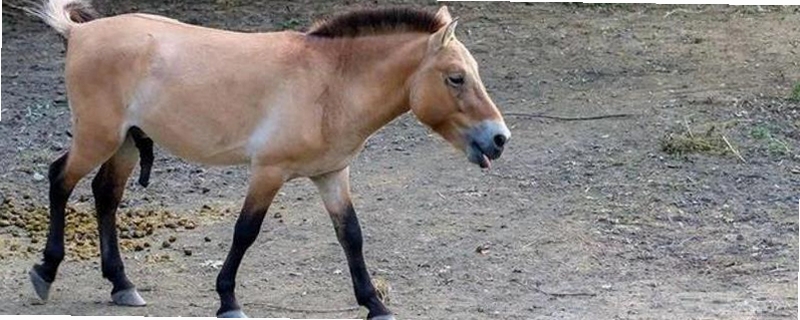 ůů�ķ���С�����˽���취