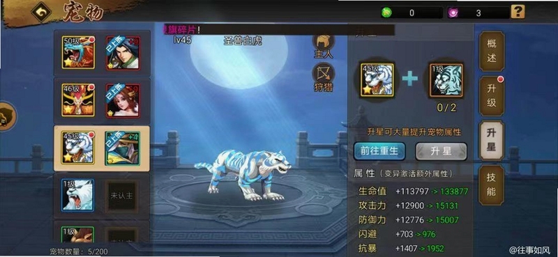 SwordMaster Story 宠物系统界面