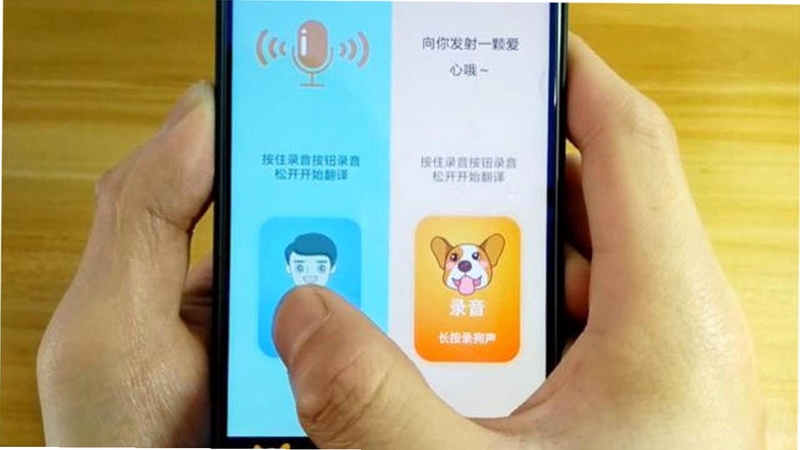 狗狗翻译器 使用教程 常见问题