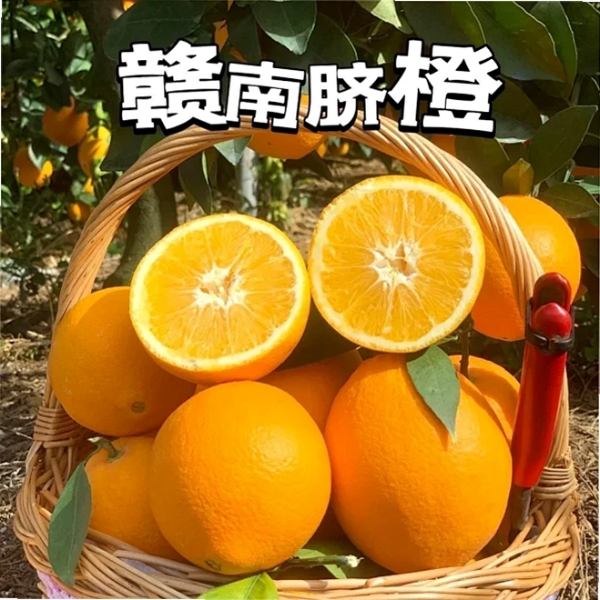 ����ͬ�ǹ���������̽�ͼ