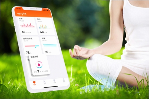 VeryFit�򲻿��������