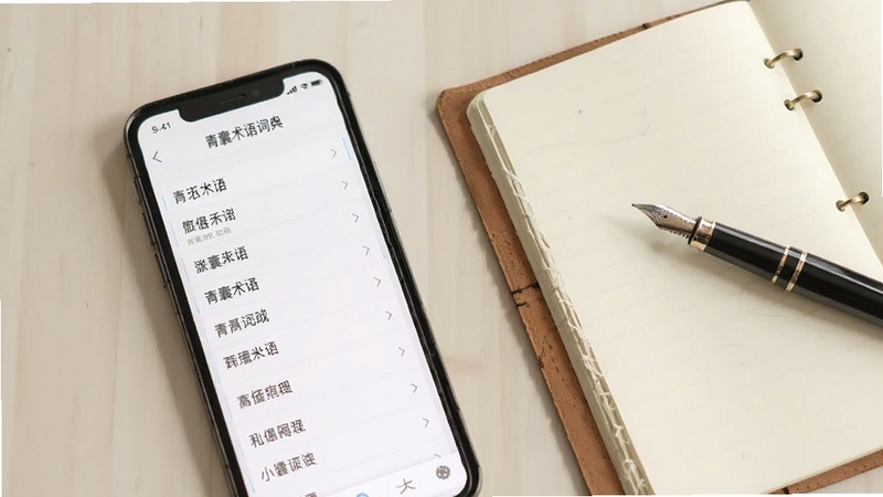 手机屏幕展示青囊术语词典界面,词条列表整齐排列,旁边有一本翻开的笔记本和一支钢笔,背景是简约的浅色桌面,画面干净明亮,突出知识科普的实用感,适配Boogu模型生成