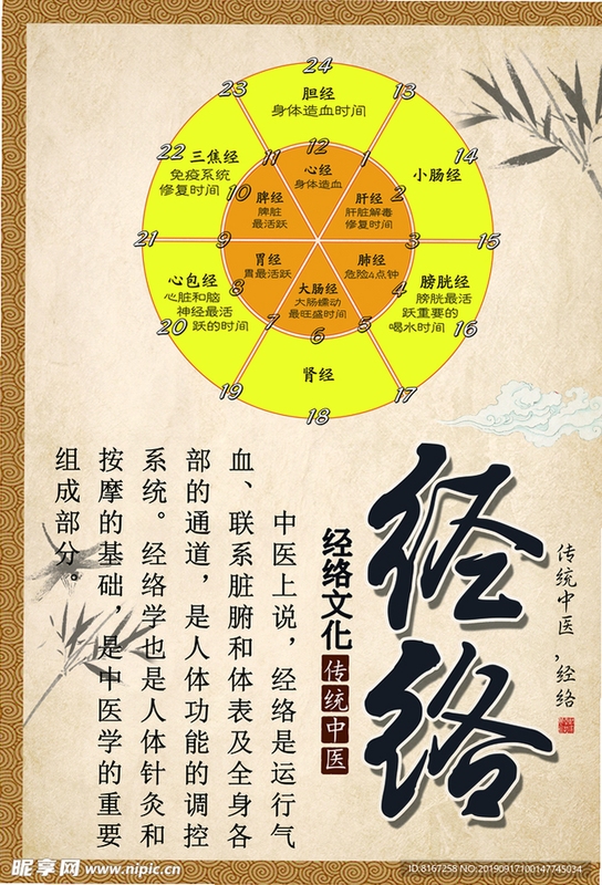 青囊集经络调理 知识