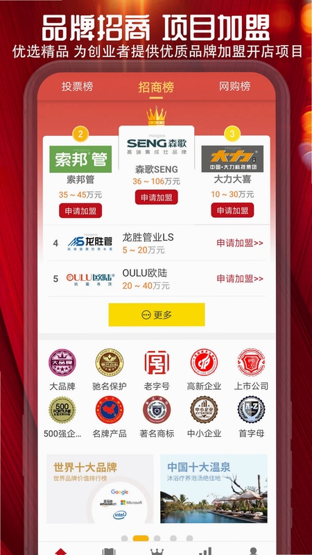 十大品牌CNPP 品牌查询工具 界面