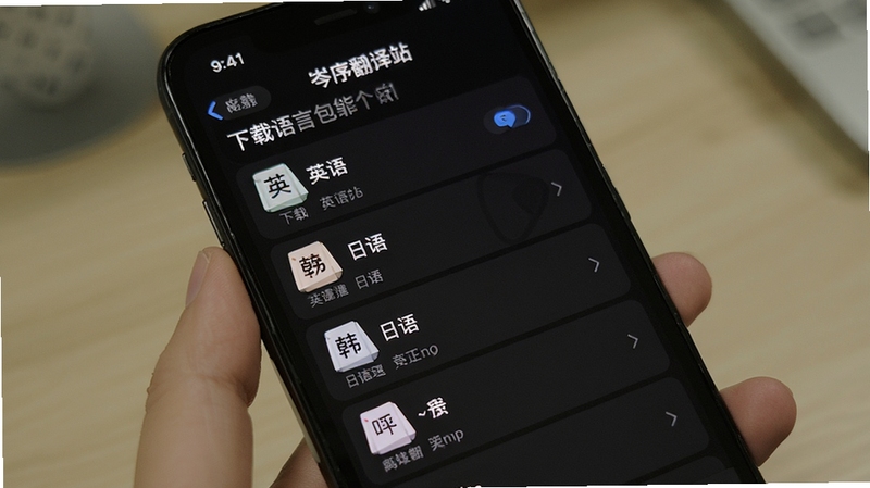 岑序翻译站离线词库功能展示,手机屏幕显示离线语言包下载管理界面,已下载英语、日语、韩语等语言包,背景为深色模式下的简洁列表,突出离线翻译的可靠性