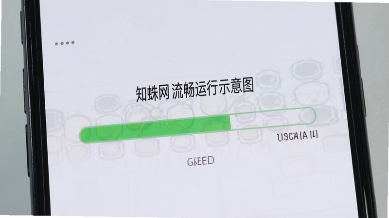 知蛛网 流畅运行示意图 手机屏幕显示加载进度条 背景为浅灰色 突出稳定