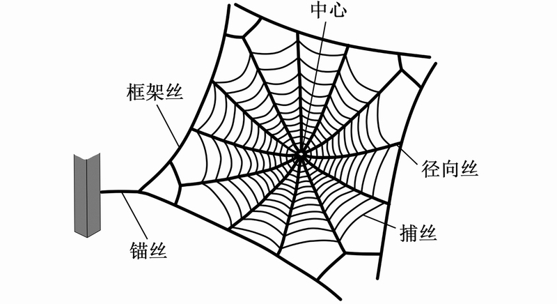 知蛛网 运行组件
