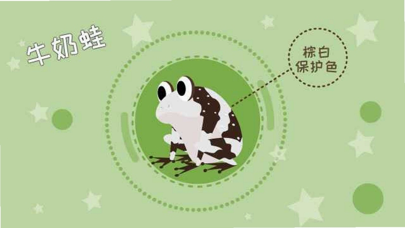 Zugato安装教程