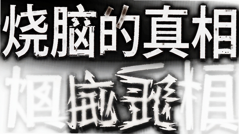 烧脑的真相 下载
