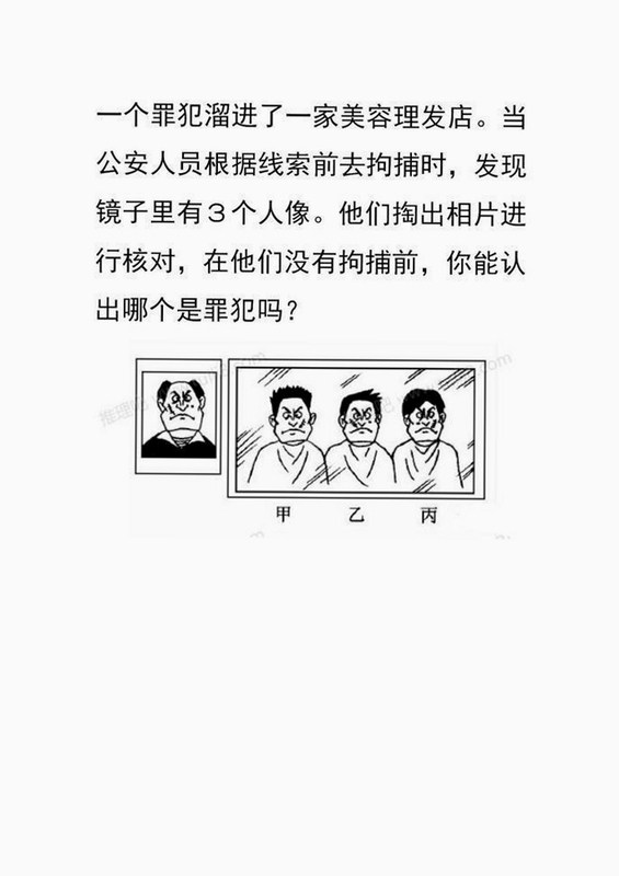 烧脑的真相 逻辑推理训练
