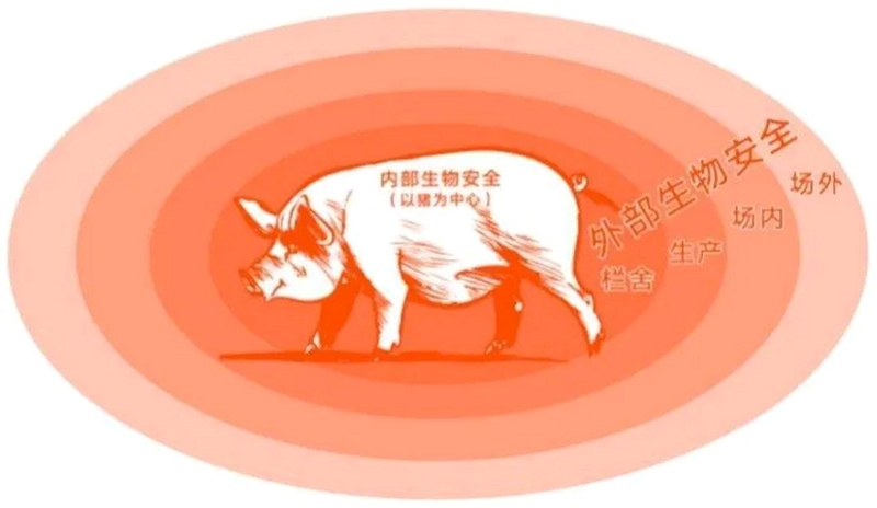 PigSyn 猪事顺 安全设置
