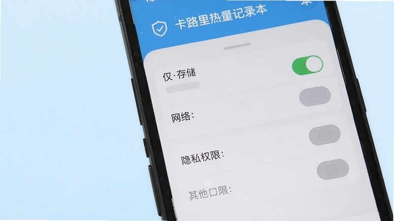 卡路里热量记录本 隐私权限设置界面 手机屏幕显示应用权限列表 仅存储和网络权限被允许 其他权限显示为灰色禁用状态 背景是淡蓝色 安全简约风格