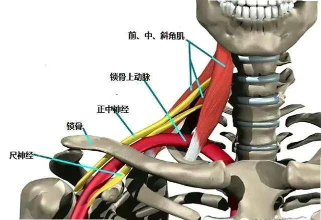 sm精选 功能界面展示