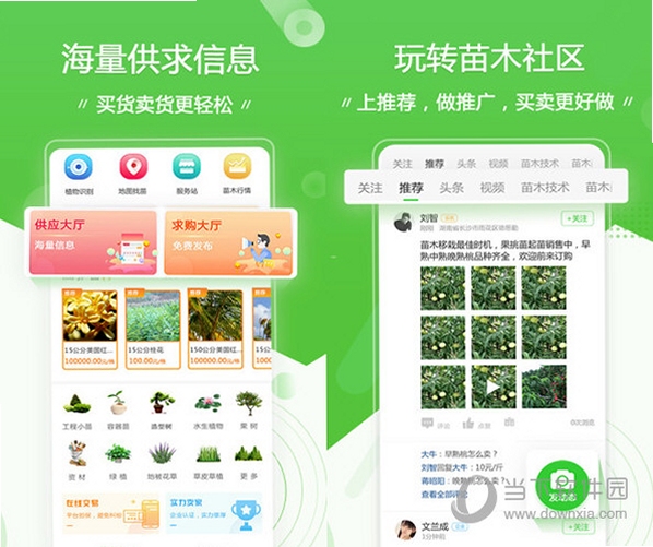 苗木人发布供应信息操作截图