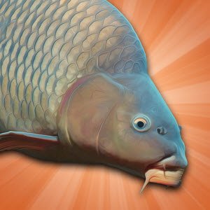 ���㴹��ģ����(Carp Fishing Simulator)�ֻ����İ�����v3.1.3����ģ������Ϸ