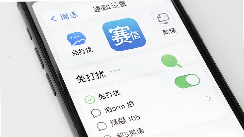 赛信软件消息通知设置界面,手机屏幕显示免打扰开关和提醒选项,背景为白色简洁风格,图标清晰,突出赛信应用图标
