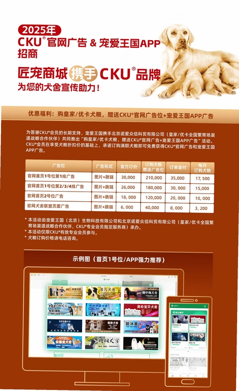 宠爱王国cku官网
