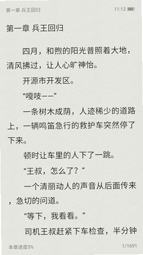 手机屏幕显示小说章节内容 夜间模式
