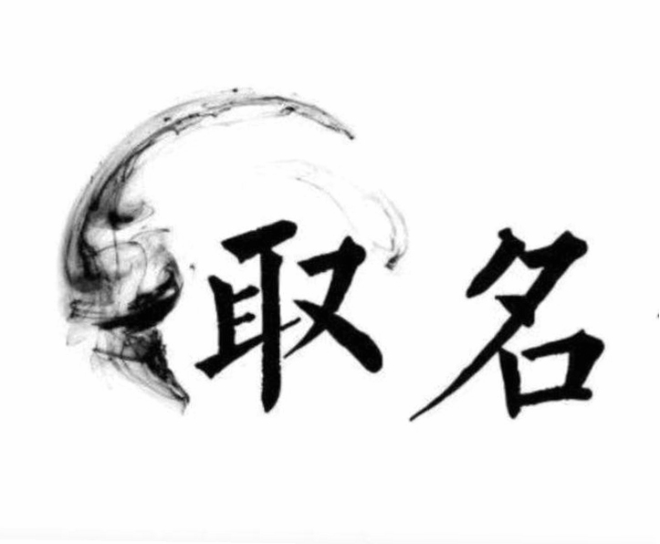 起名大师国学取名 五格数理评分界面