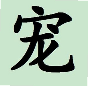 宠壹堂执兽题库界面