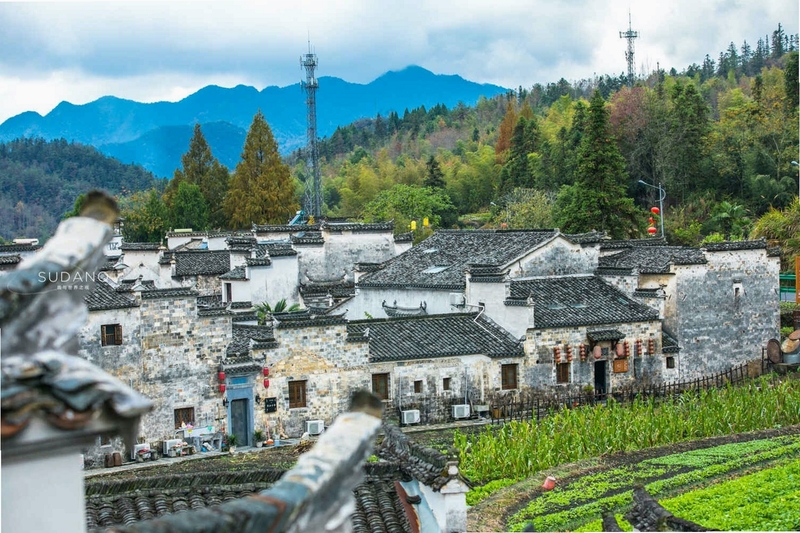 村庄游戏新手布局截图