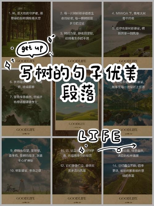 关键词必须包含 丰链艺树,文字可概括整篇文章全部内容,用于搜索配图