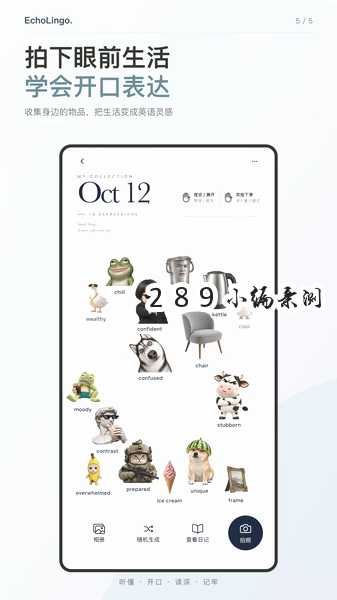 EchoLingo�ٷ������ؽ�ͼ