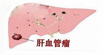 莽豆豆网络科技有限公司相关信息