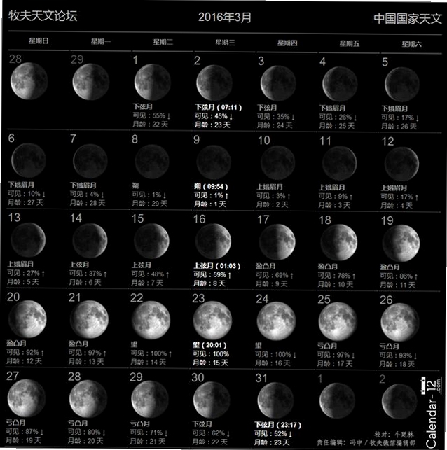 Lunary ���� ��ѯ