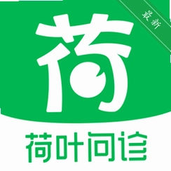 ��Ҷ����v1.3.1 ���߽�����ѯ