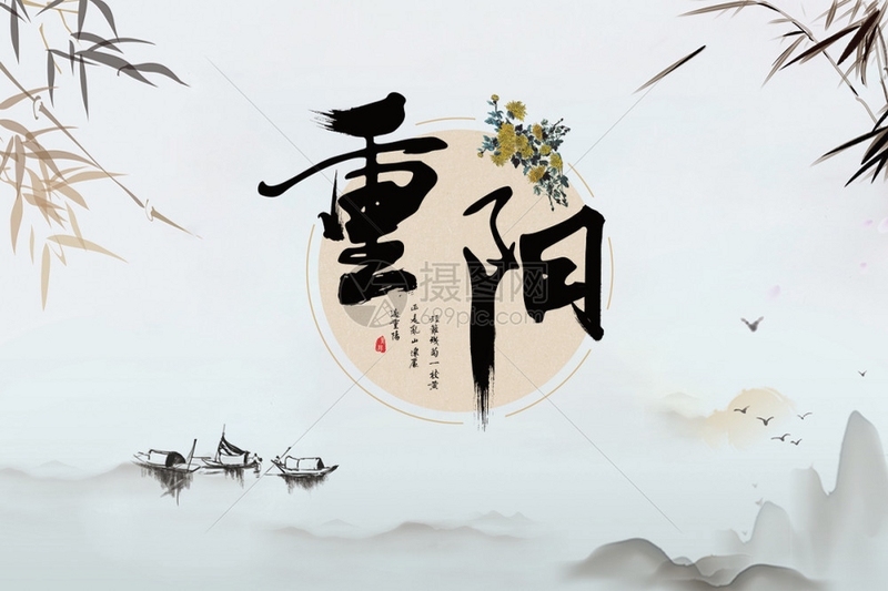宠医帮app 下载安装