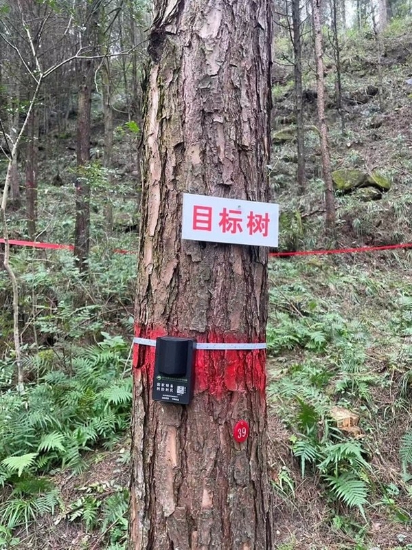 未闻树洞 安装 使用教程