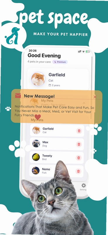 PetSpace 安装权限设置教程