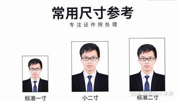 证件照头像比例要求示意图